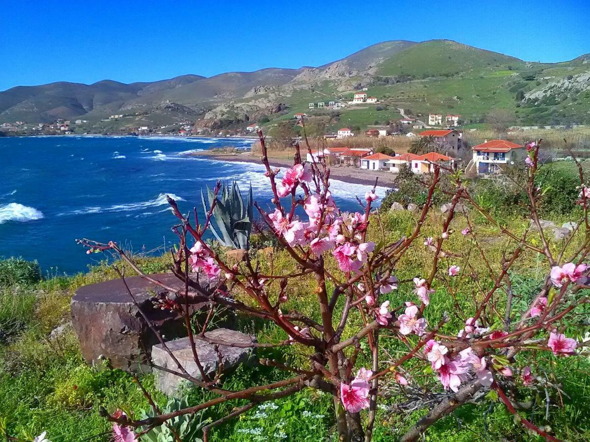 Enalion House Villa Agios Ioannis Kaspaka ภายนอก รูปภาพ