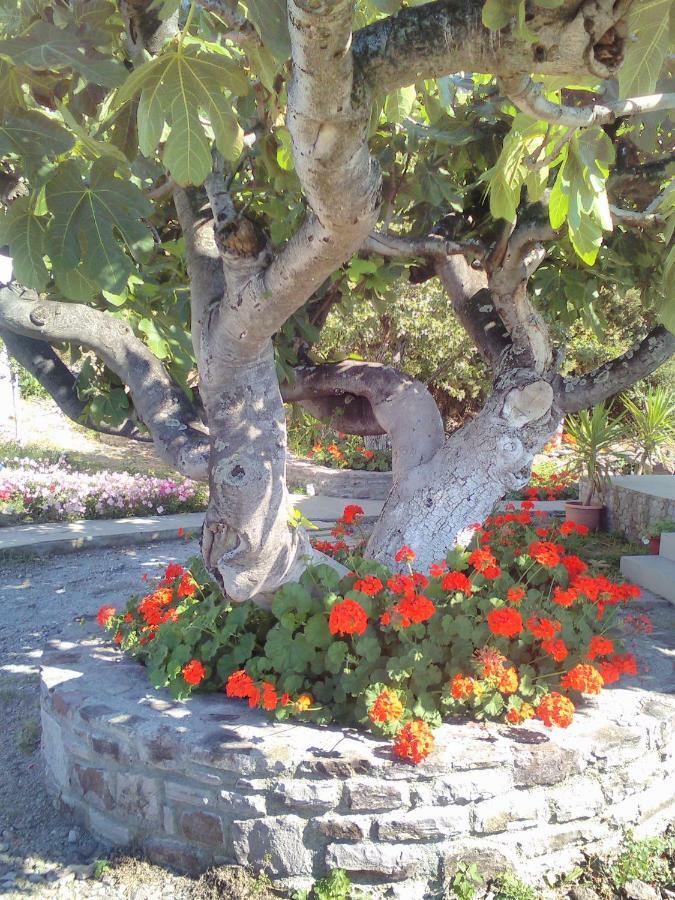 Enalion House Villa Agios Ioannis Kaspaka ภายนอก รูปภาพ